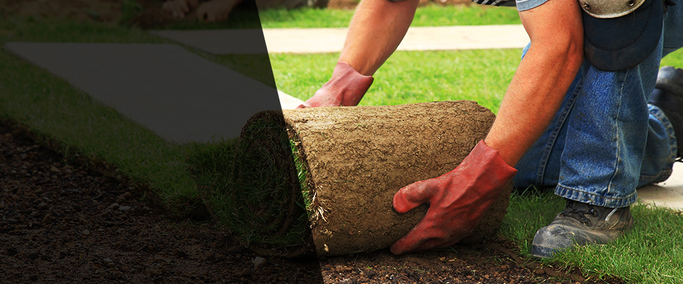 Schuylerville Landscapers